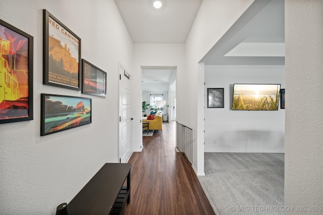 hall featuring dark hardwood / wood-style floors