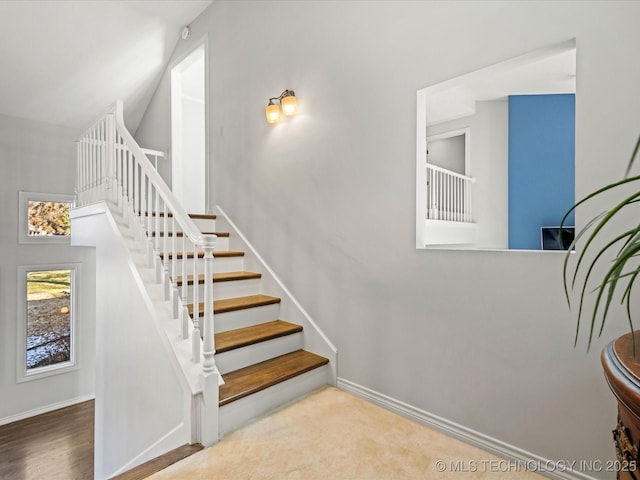 staircase featuring carpet flooring