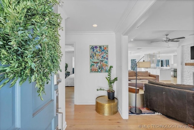 entrance foyer with ceiling fan, ornamental molding, and light hardwood / wood-style floors