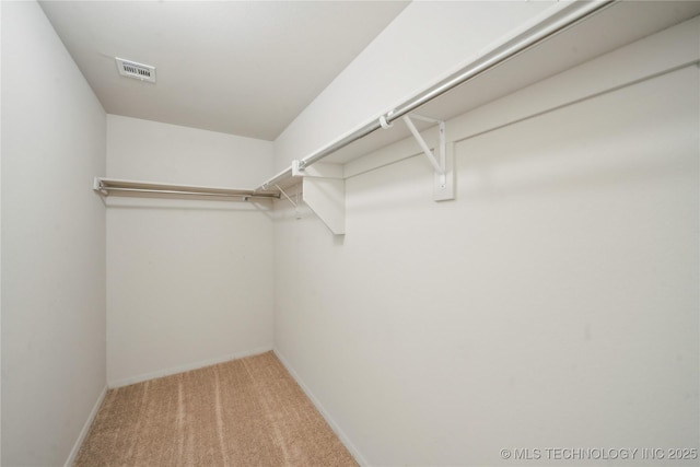 spacious closet featuring carpet