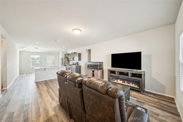 living room with sink and light hardwood / wood-style flooring