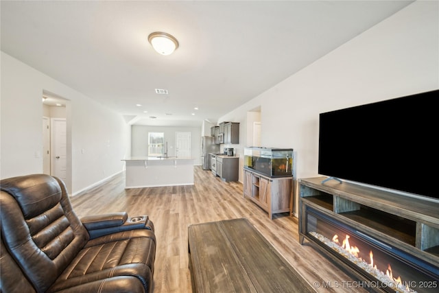 living room featuring light wood-type flooring