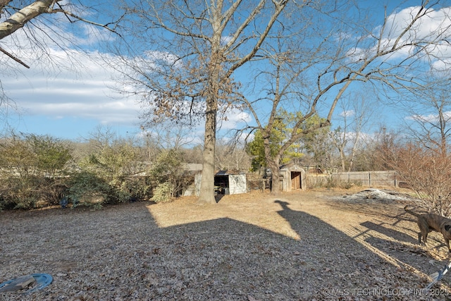 view of yard featuring a shed