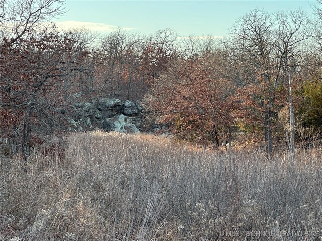 County Road 1405, Skiatook, OK 74070