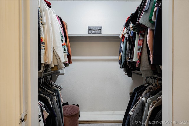 view of spacious closet