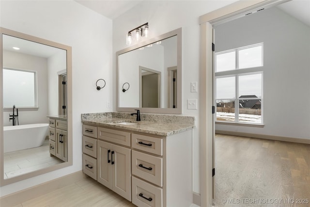 full bathroom featuring a freestanding bath, vanity, and wood finished floors