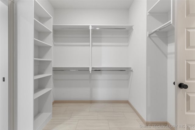 view of spacious closet