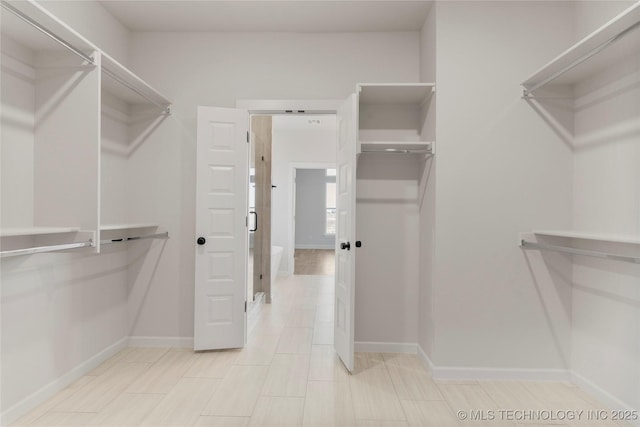 view of spacious closet