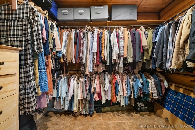 view of spacious closet