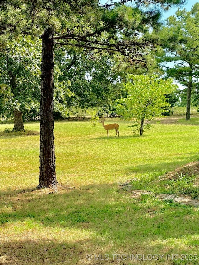 view of home's community with a yard