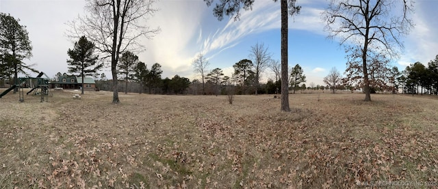 view of yard featuring a playground