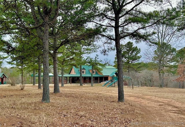 view of jungle gym