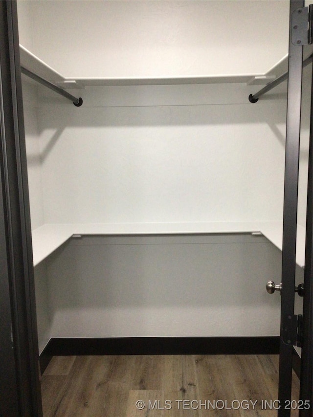 spacious closet featuring dark wood-type flooring