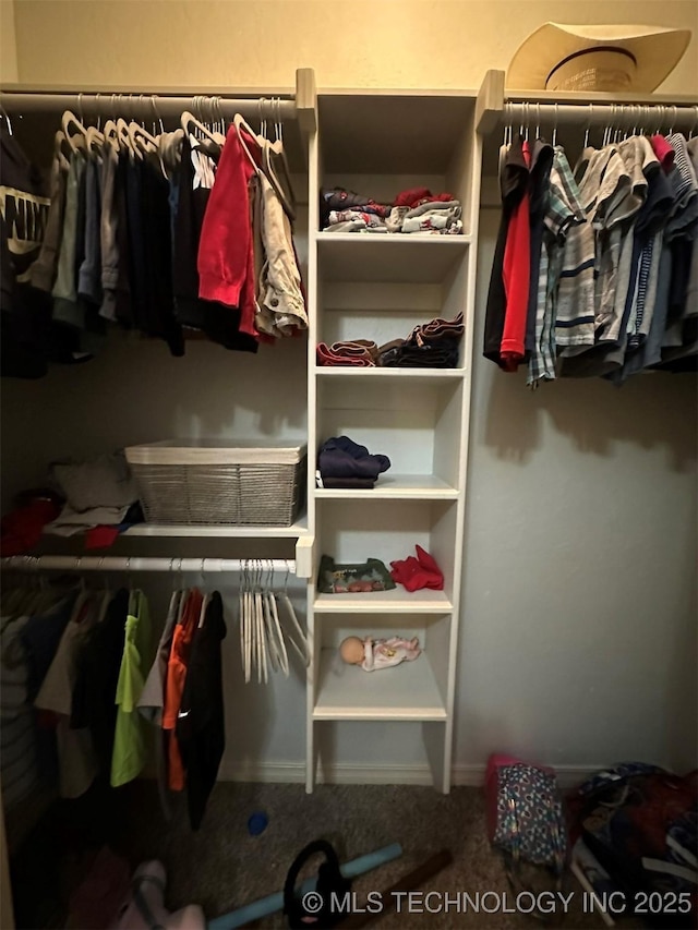 spacious closet with carpet flooring