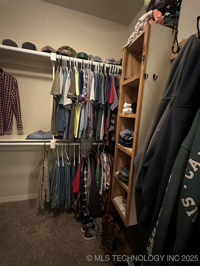 spacious closet with carpet floors