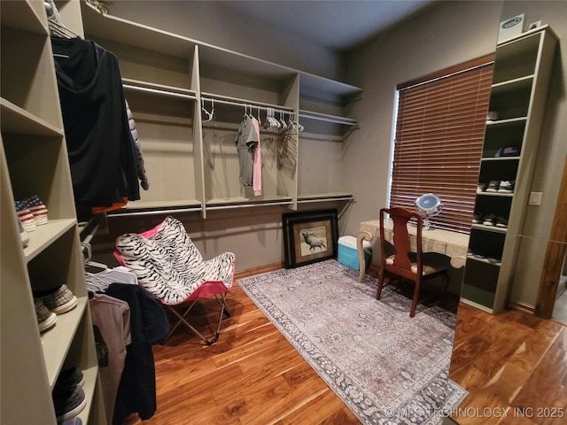 walk in closet with hardwood / wood-style floors