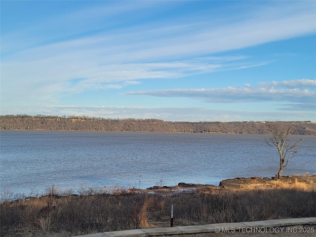 property view of water