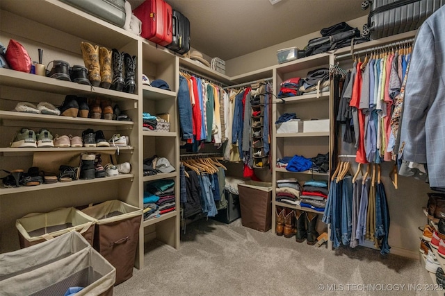 walk in closet featuring light carpet