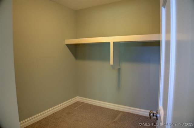 washroom featuring carpet flooring