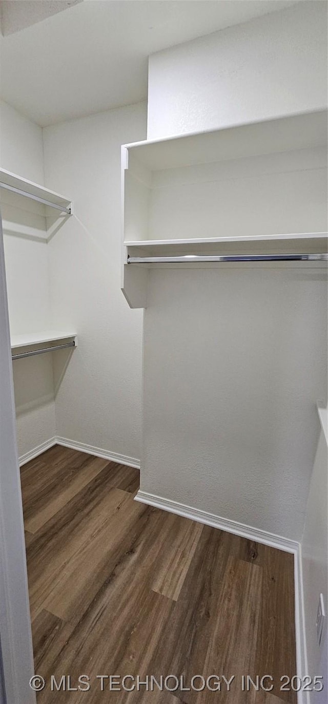 walk in closet featuring wood-type flooring