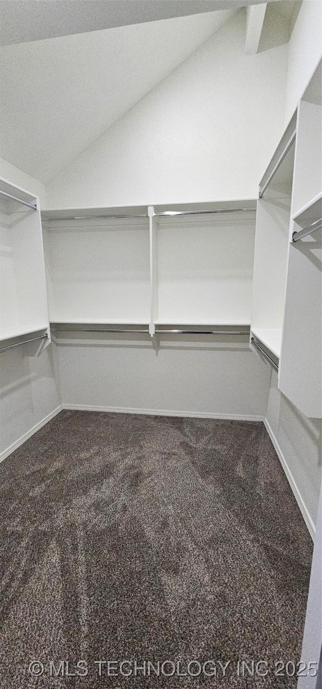 spacious closet featuring vaulted ceiling and carpet flooring