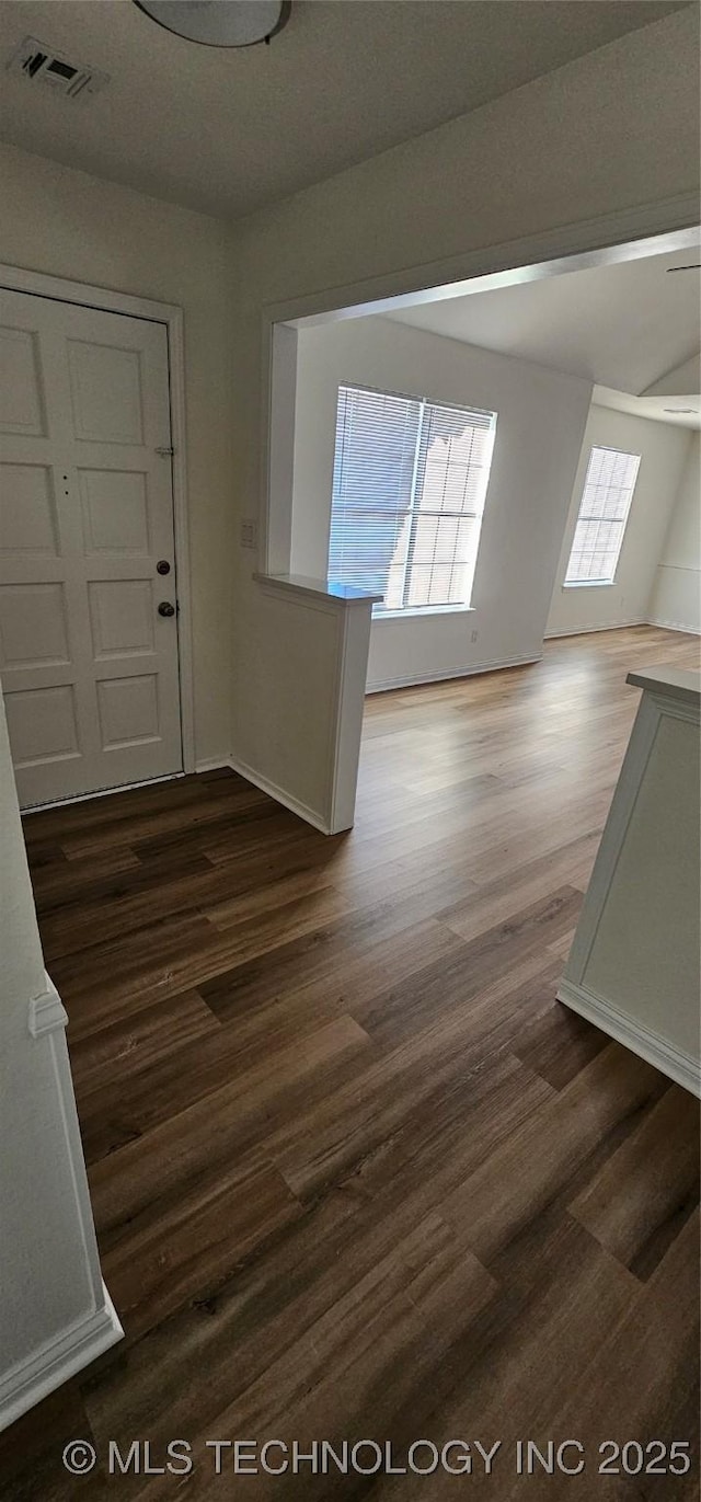 entryway featuring dark hardwood / wood-style flooring