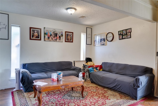 living room featuring hardwood / wood-style floors and a textured ceiling