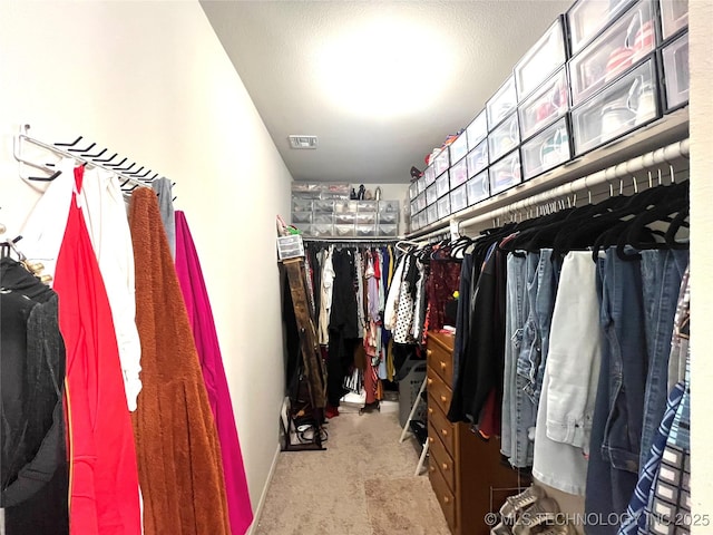 spacious closet featuring light colored carpet