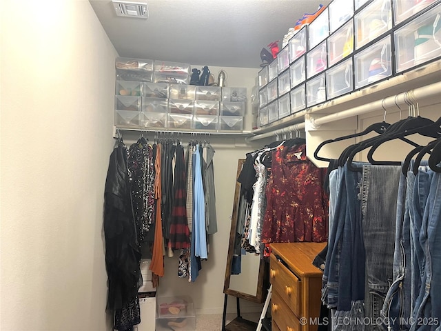 view of spacious closet