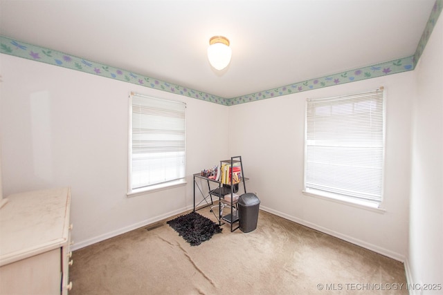 miscellaneous room featuring carpet floors