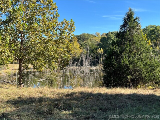 5804 Samuel Rd, Kingston, OK 73439 - view of nature