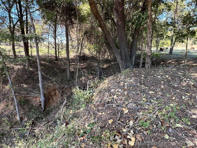 5804 Samuel Rd, Kingston, OK 73439 - view of nature