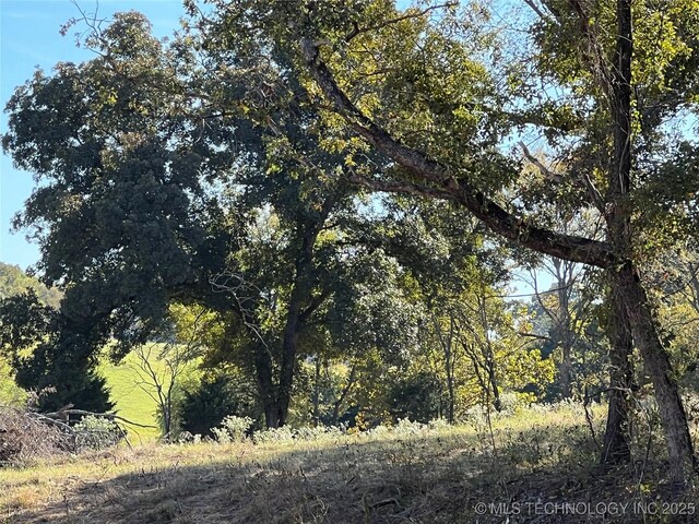 5804 Samuel Rd, Kingston, OK 73439 - view of local wilderness