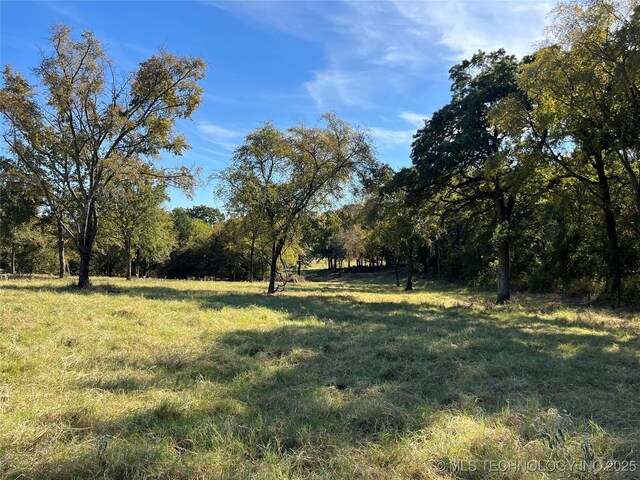 5804 Samuel Rd, Kingston, OK 73439 - view of yard