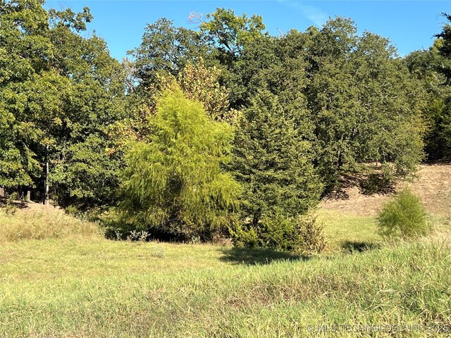 5804 Samuel Rd, Kingston, OK 73439 - view of woods