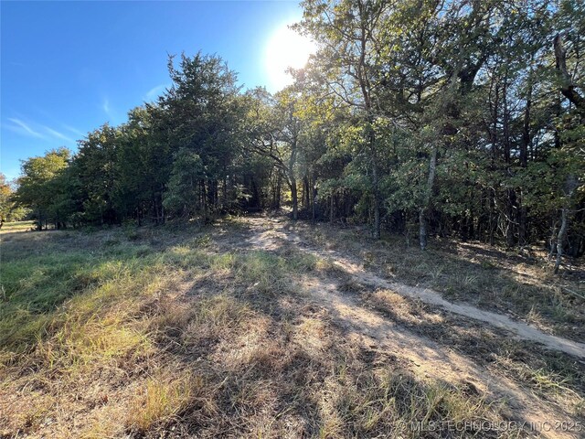 5804 Samuel Rd, Kingston, OK 73439 - view of yard