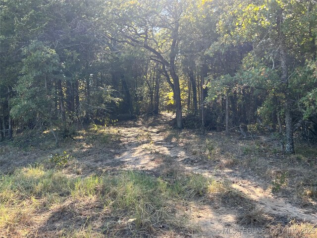 5804 Samuel Rd, Kingston, OK 73439 - view of woods