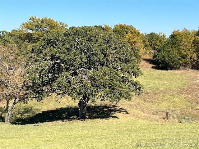 5804 Samuel Rd, Kingston, OK 73439 - view of nature