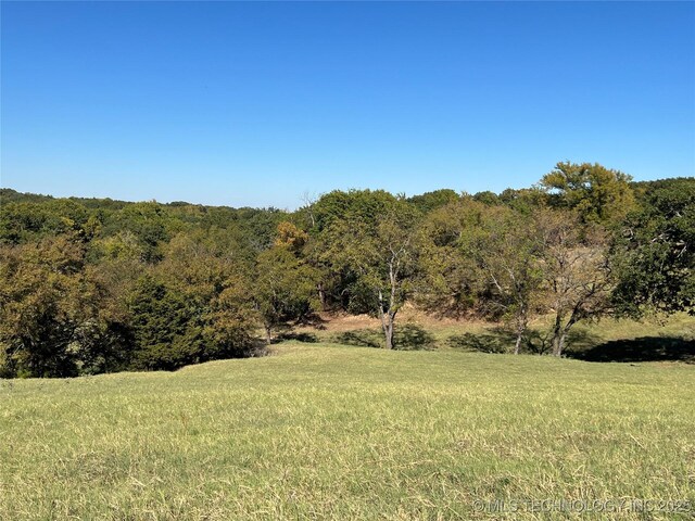 5804 Samuel Rd, Kingston, OK 73439 - view of yard featuring a view of trees