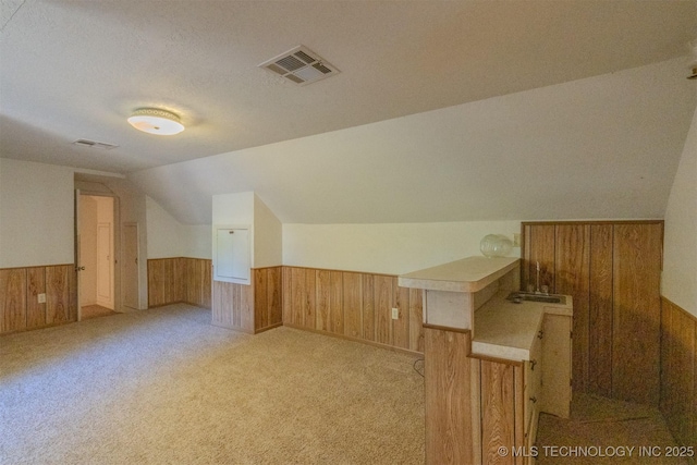 additional living space with vaulted ceiling, a textured ceiling, and light colored carpet