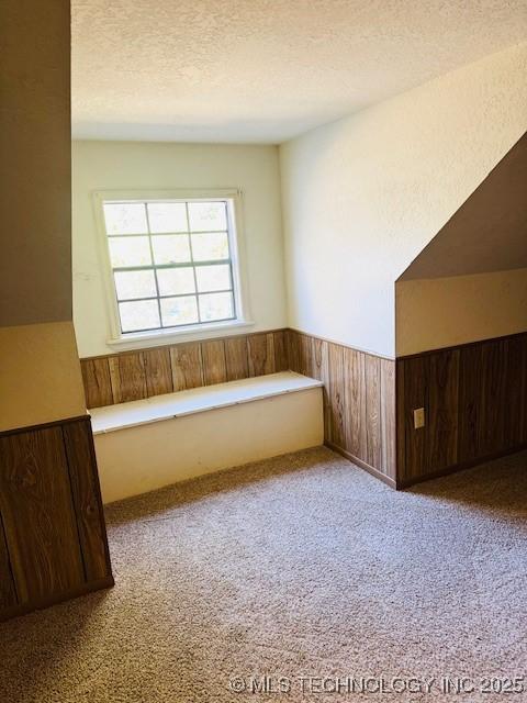 additional living space with carpet flooring, wainscoting, a textured ceiling, and wood walls