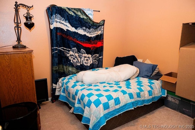 1799 W Main St, Westville, OK 74965 - view of carpeted bedroom