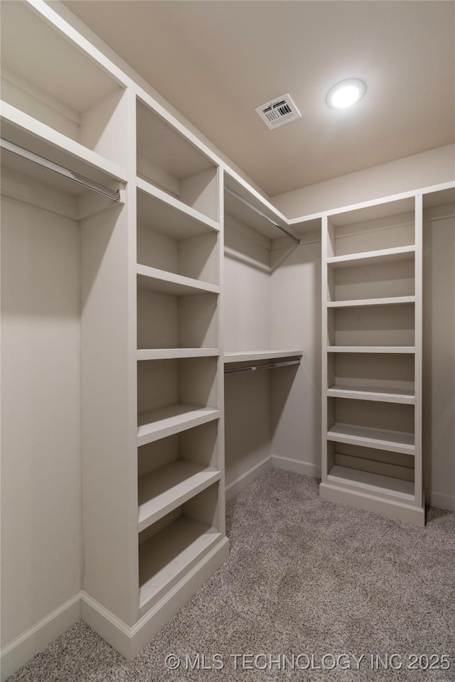 walk in closet featuring carpet floors