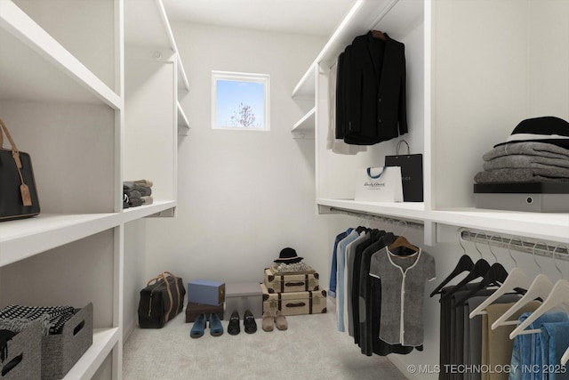 spacious closet with carpet