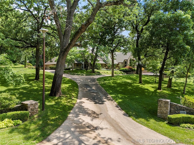 view of property's community with a yard