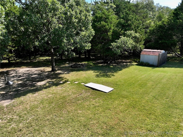 view of yard featuring a storage unit