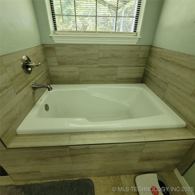 bathroom with a healthy amount of sunlight and a washtub