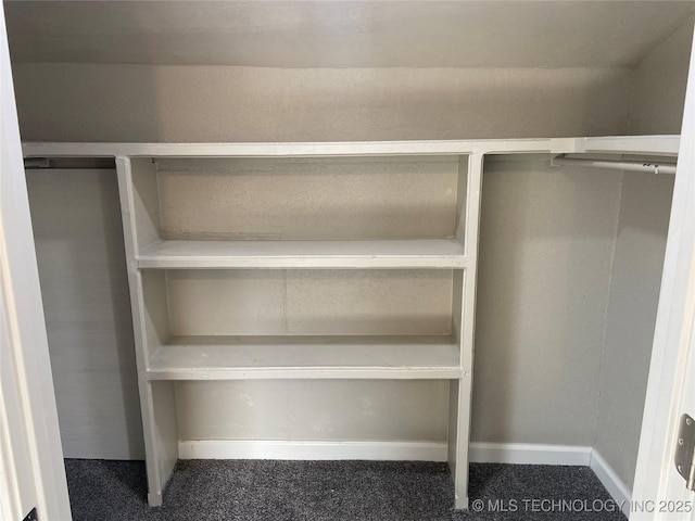 spacious closet with carpet flooring