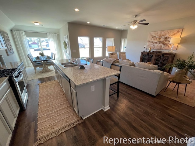 kitchen featuring an island with sink, ceiling fan, stainless steel appliances, dark hardwood / wood-style floors, and sink