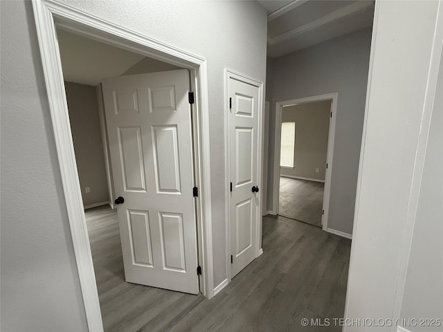 hallway featuring dark wood-type flooring